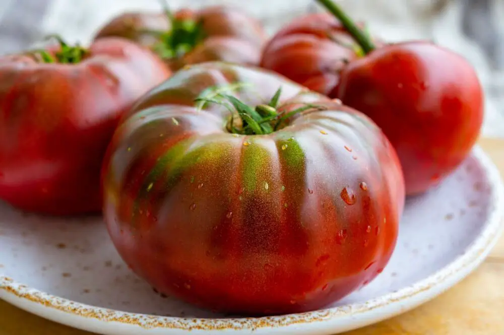 black-krim-tomato