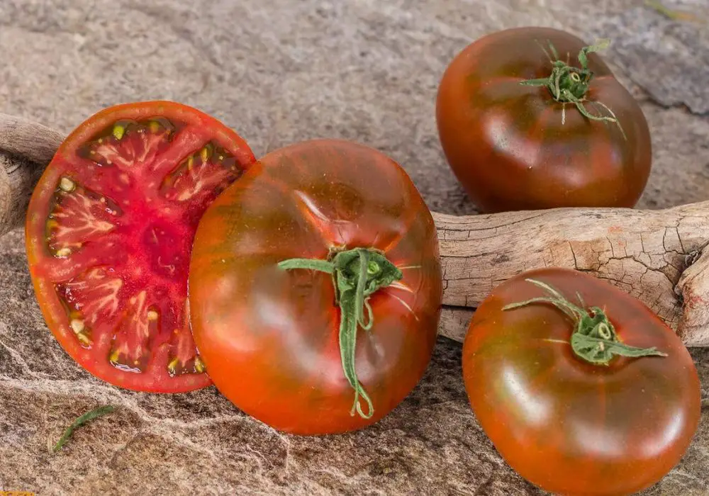 nyagous-tomato