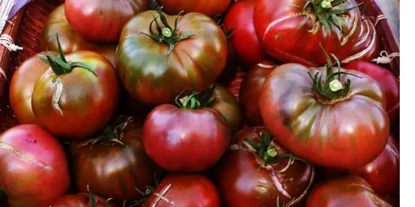 paul-robeson-tomato