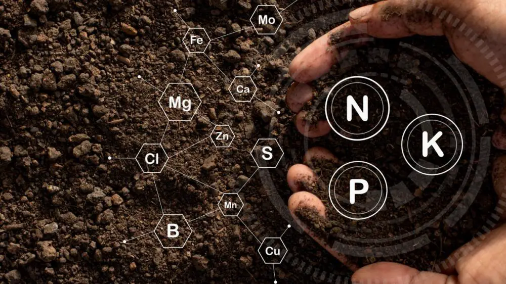 About-fertilizer-grades-NPK