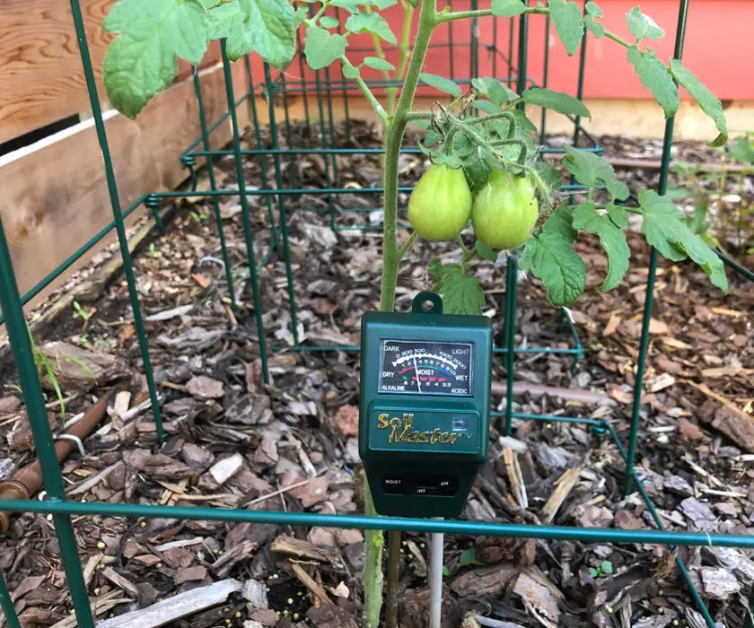 Using-a-humidity-meter-is-a-good-way-to-determine-if-plants-need-supplemental-irrigation